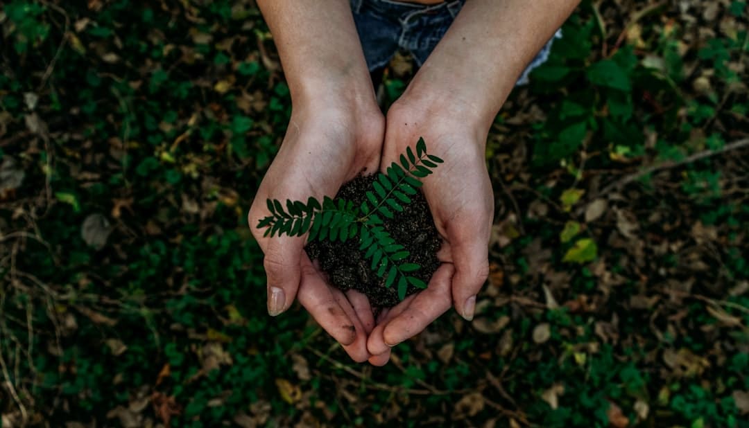 découvrez le concept de durabilité et son impact positif sur notre planète. apprenez comment adopter un mode de vie écoresponsable, réduire votre empreinte carbone et contribuer à un avenir meilleur pour les générations futures.