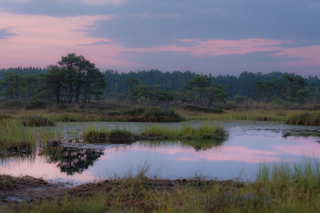 découvrez 'nature escape', une expérience immersive au cœur de la nature qui vous permettra de vous ressourcer et de vous reconnecter avec l'environnement. partez à l'aventure à travers des paysages époustouflants, explorez des sentiers cachés et laissez-vous séduire par la beauté des espaces naturels. une escapade idéale pour les amoureux de la nature et ceux en quête de paix et de tranquillité.