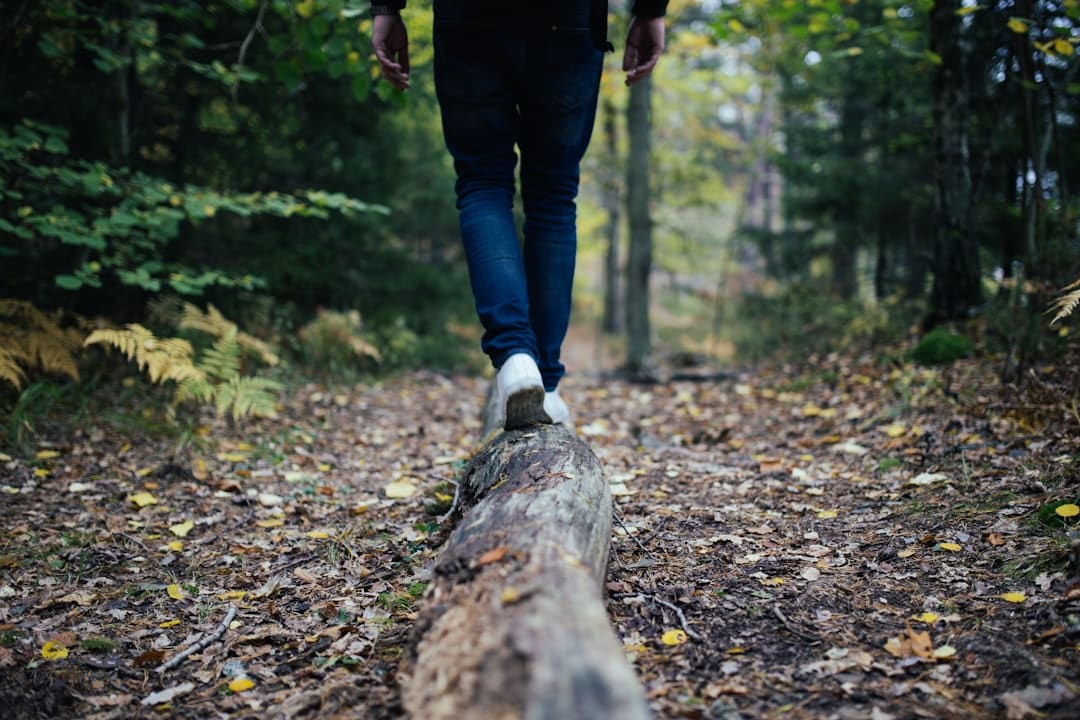 découvrez l'importance de la balance au quotidien : un outil essentiel pour mesurer, peser et équilibrer votre alimentation, votre santé et vos finances. apprenez à optimiser votre bien-être grâce à des conseils pratiques et des astuces adaptées.