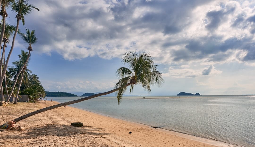 plongez dans un paradis exotique avec notre guide de l'évasion tropicale. découvrez des plages ensoleillées, une végétation luxuriante et des expériences inoubliables. préparez-vous à vivre une aventure au cœur des tropiques!