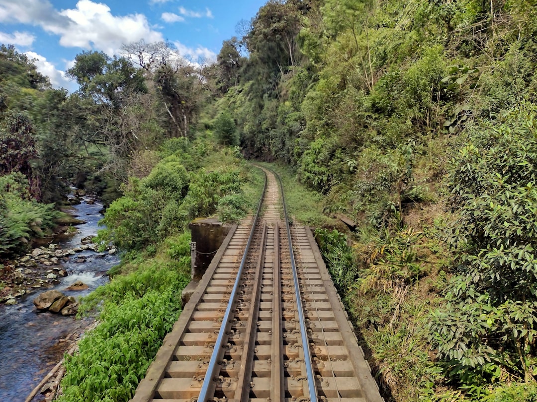 découvrez la magie du voyage en train, une expérience inoubliable qui vous connecte aux paysages, aux cultures et aux gens. profitez de confort et d'accessibilité tout en admirant des panoramas époustouflants. explorez de nouvelles destinations en toute sérénité.