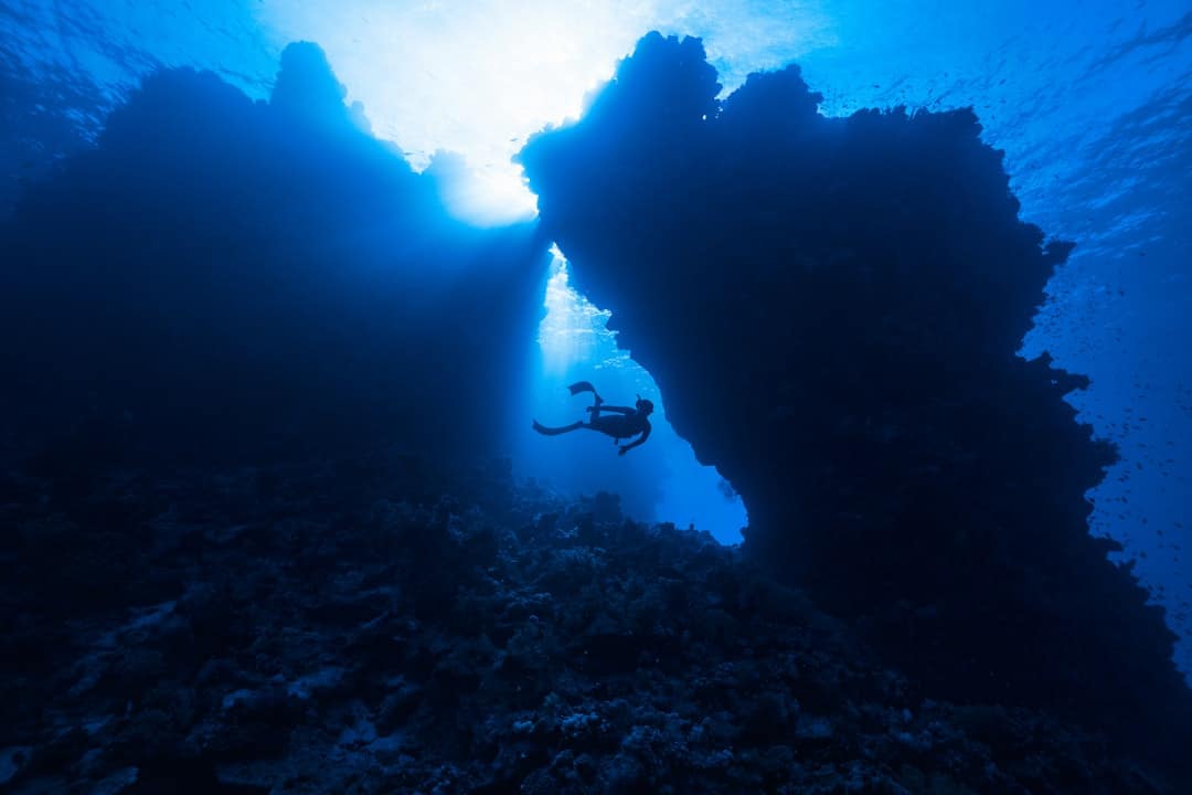 découvrez les profondeurs de l'exploration, un voyage fascinant à travers des territoires inexplorés, des cultures variées, et des idées innovantes. rejoignez-nous pour une aventure enrichissante qui éveillera votre curiosité et votre esprit aventurier.